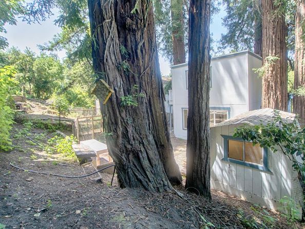 3358 S Polo Drive, Aptos CA 95003