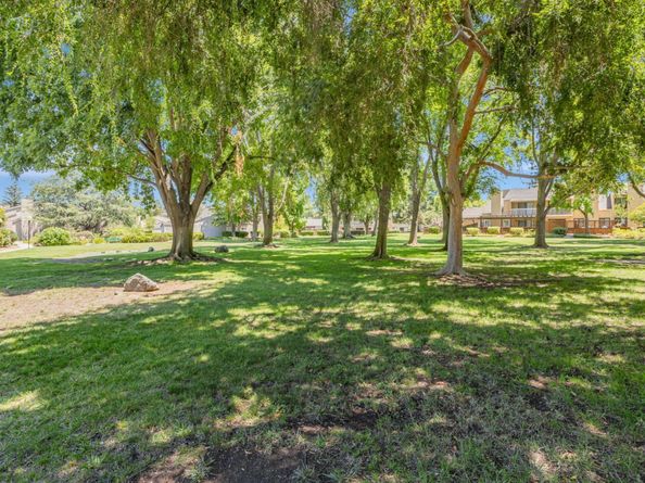 6698 Buggywhip Court, San Jose CA 95120