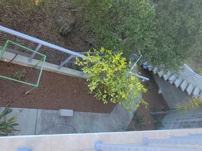 2612 Hallmark Drive, Belmont CA 94002