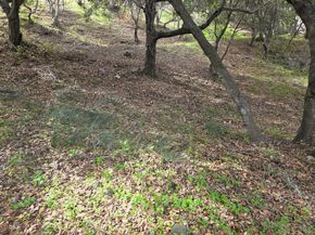 2612 Hallmark Drive, Belmont CA 94002