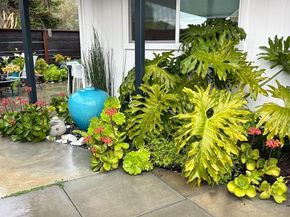 218 Moosehead Drive, Aptos CA 95003