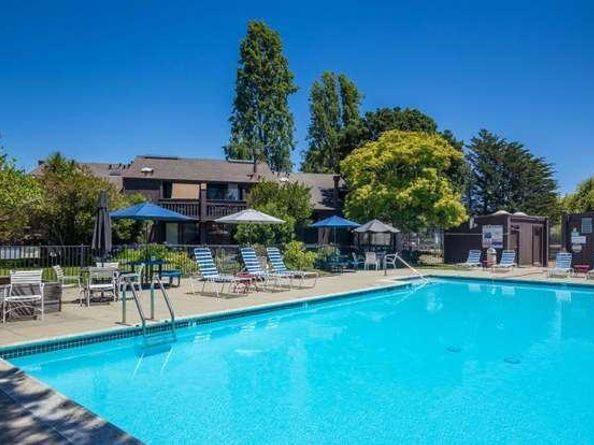 113 Tree Frog Lane, Santa Cruz CA 95060