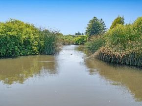 113 Tree Frog Lane, Santa Cruz CA 95060