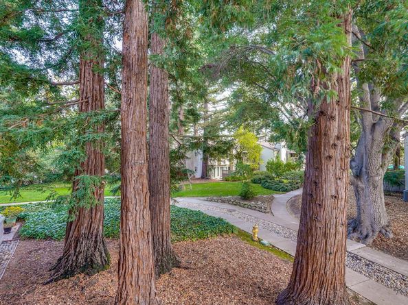 19423 Vineyard Lane, Saratoga CA 95070