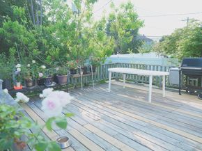 23 Clinton Lane, Jericho NY 11753