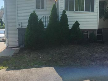 2 Maple Grove Court