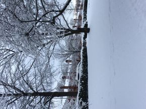 1875 Corporal Kennedy Street L1, Bayside NY 11360