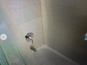 4 Forest Street, Ronkonkoma NY 11779