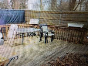 4 Forest Street, Ronkonkoma NY 11779