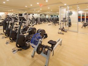1000 Royal Court 1207, North Hills NY 11040