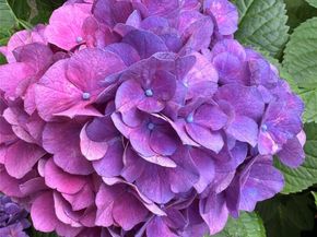 734 King Street, Chappaqua NY 10514