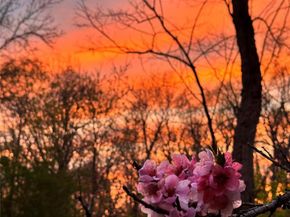 734 King Street, Chappaqua NY 10514