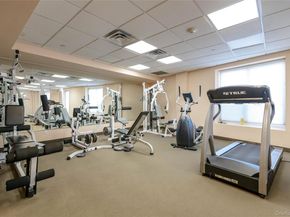 242 Maple Avenue 419, Westbury NY 11590