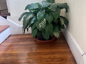 3461 Main Street, Bridgeport CT 06606