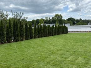 783 Post Road E 204, Westport CT 06880