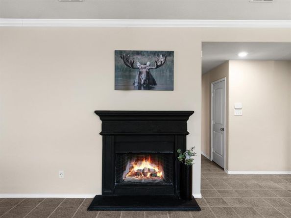 14309  Serrano Ridge Road , Fort Worth Texas 76052