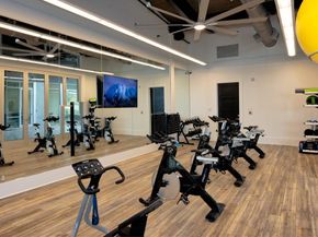 538  Wisteria Street , Oak Point Texas 75068