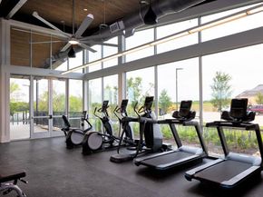 538  Wisteria Street , Oak Point Texas 75068