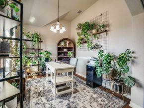 316  Tarpan Trail , Celina Texas 75009