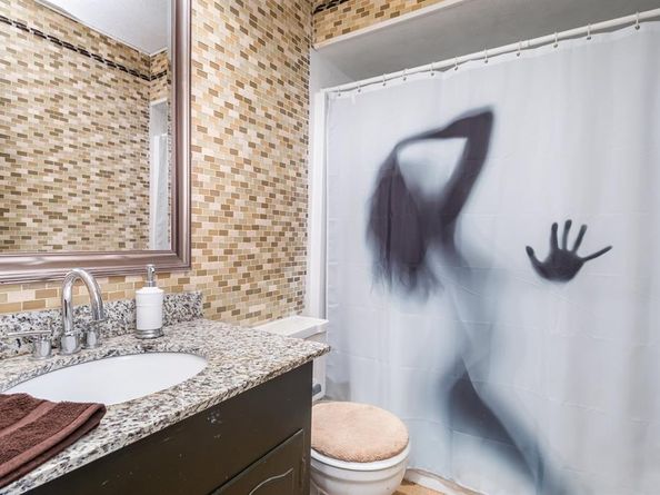 2513  Briarcliff Drive , Irving Texas 75062