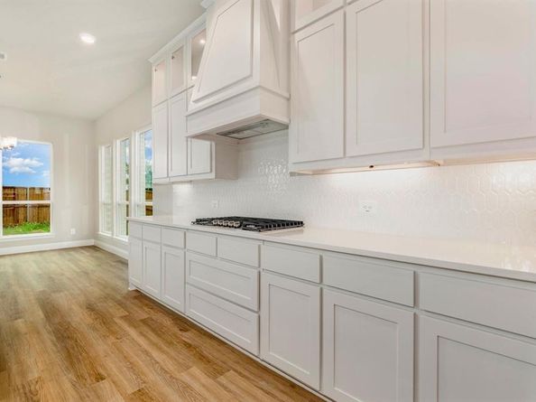 161  MALABAR HILL Drive , Prosper Texas 75078