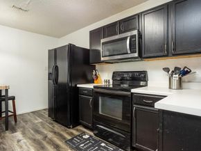 1512  Golden Grass Drive , Lancaster Texas 75134