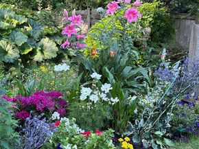 816 Walnut Street, Edmonds WA 98020