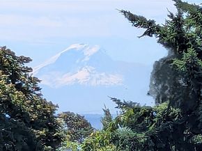 2650 W Newton Street, Seattle WA 98199