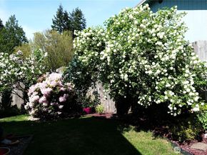 26468 Kingsview Loop NE, Kingston WA 98346