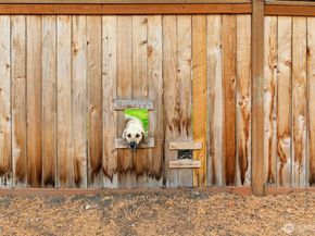 2002 263rd Lane SE, Sammamish WA 98075