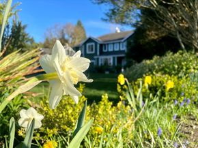 28503 NE 151st Street, Duvall WA 98019