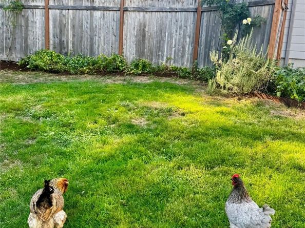 10414 SW 110th Street, Vashon WA 98070