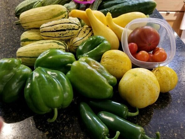 10414 SW 110th Street, Vashon WA 98070