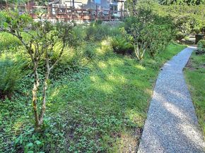 19640 SE 29th Street, Sammamish WA 98075
