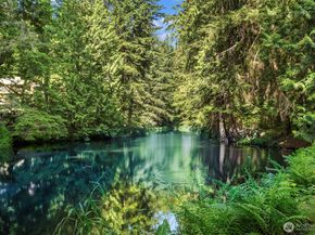9607 208th Avenue NE, Redmond WA 98053