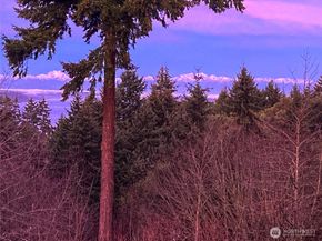 5511 154th Avenue SE, Bellevue WA 98006