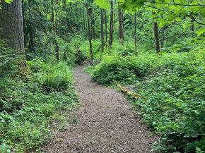 18212 244th Avenue NE, Woodinville WA 98077