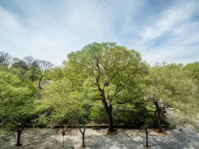 1212 5th Avenue 6A, New York NY 10029