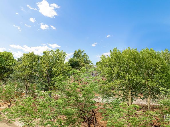 1133 5th Avenue 7A, New York NY 10128