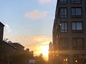 550 Vanderbilt Avenue 212, Brooklyn NY 11238