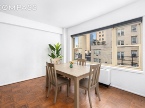 415 East 52nd Street 9AA, New York NY 10022