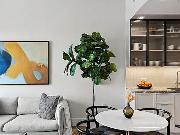222 East Broadway 20B, New York NY 10002