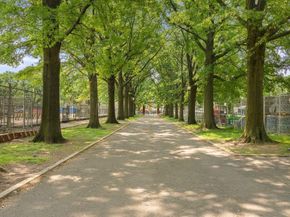 55 Parade Place A10, Brooklyn NY 11226