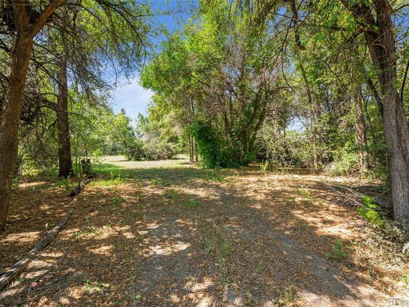 8075 W 32nd Avenue, Wheat Ridge CO 80033