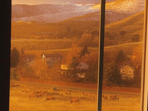 18408 Homestead Circle, Golden CO 80401