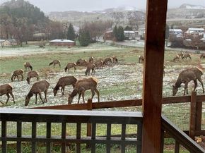 18408 Homestead Circle, Golden CO 80401