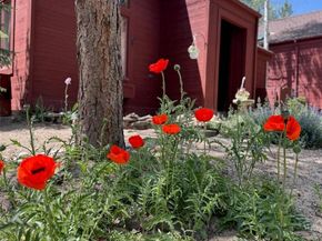 23666 Genesee Village Road, Golden CO 80401