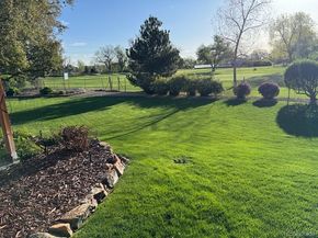 930 Reed Court, Lakewood CO 80214
