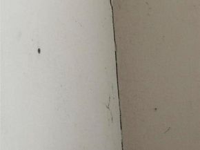 1251 Salem Street, Aurora CO 80011