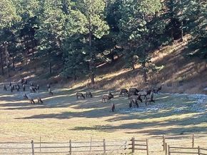 21849 Cabrini Boulevard, Golden CO 80401